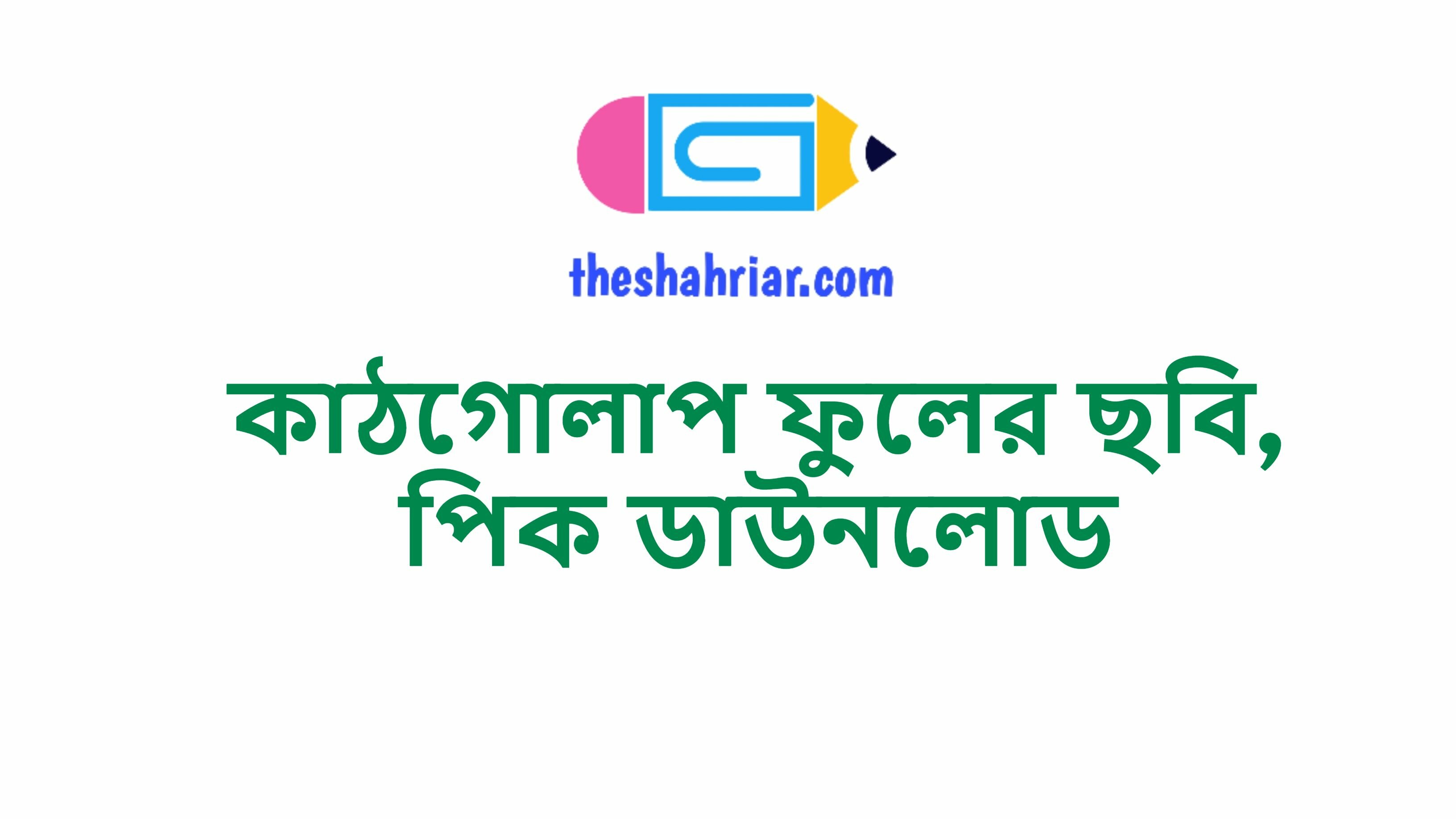 কাঠগোলাপ ফুলের ছবি, পিক ডাউনলোড