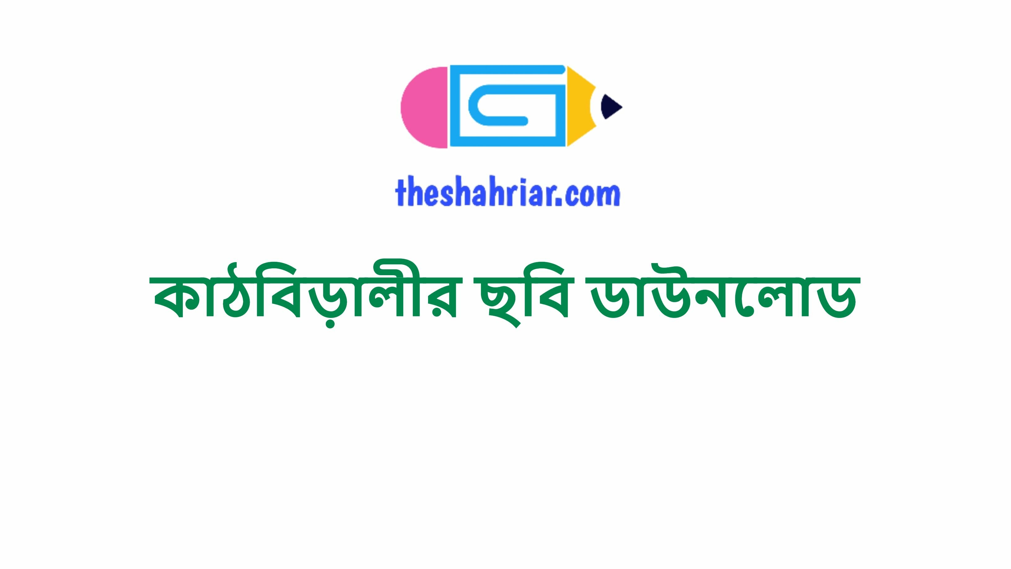 কাঠবিড়ালীর ছবি ডাউনলোড