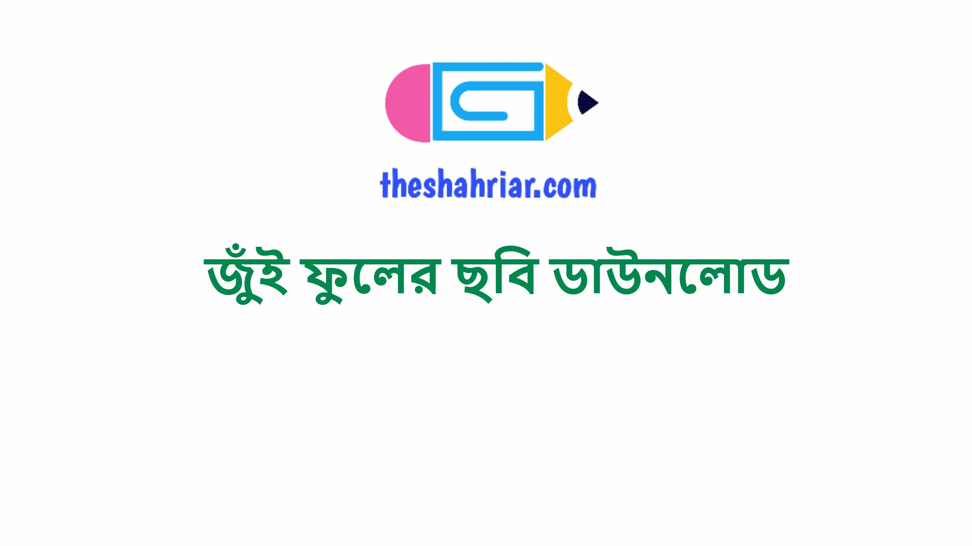 জুঁই ফুলের ছবি ডাউনলোড