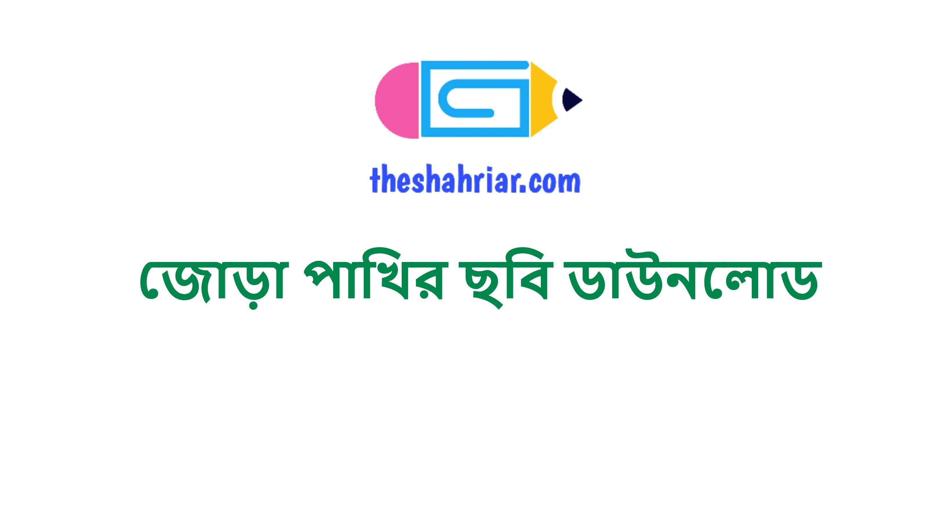 জোড়া পাখির ছবি ডাউনলোড