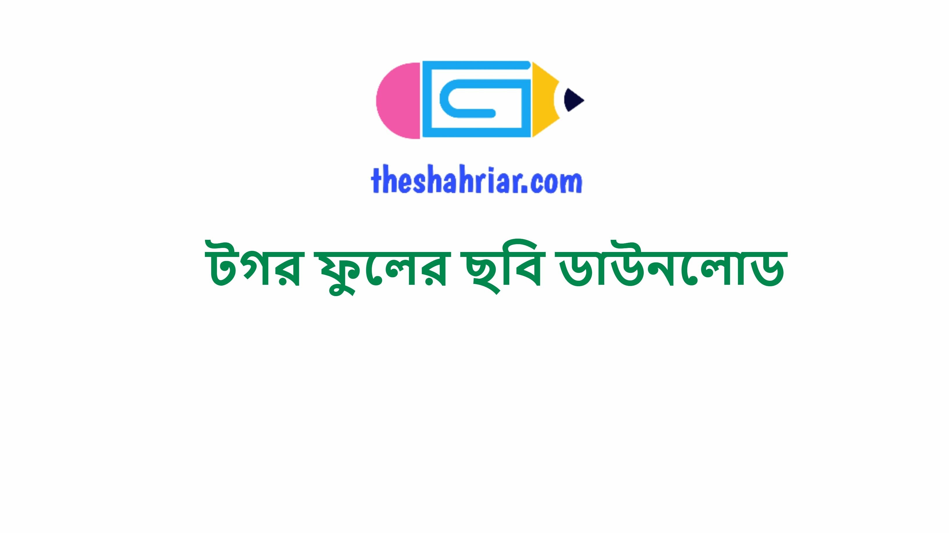 টগর ফুলের ছবি ডাউনলোড