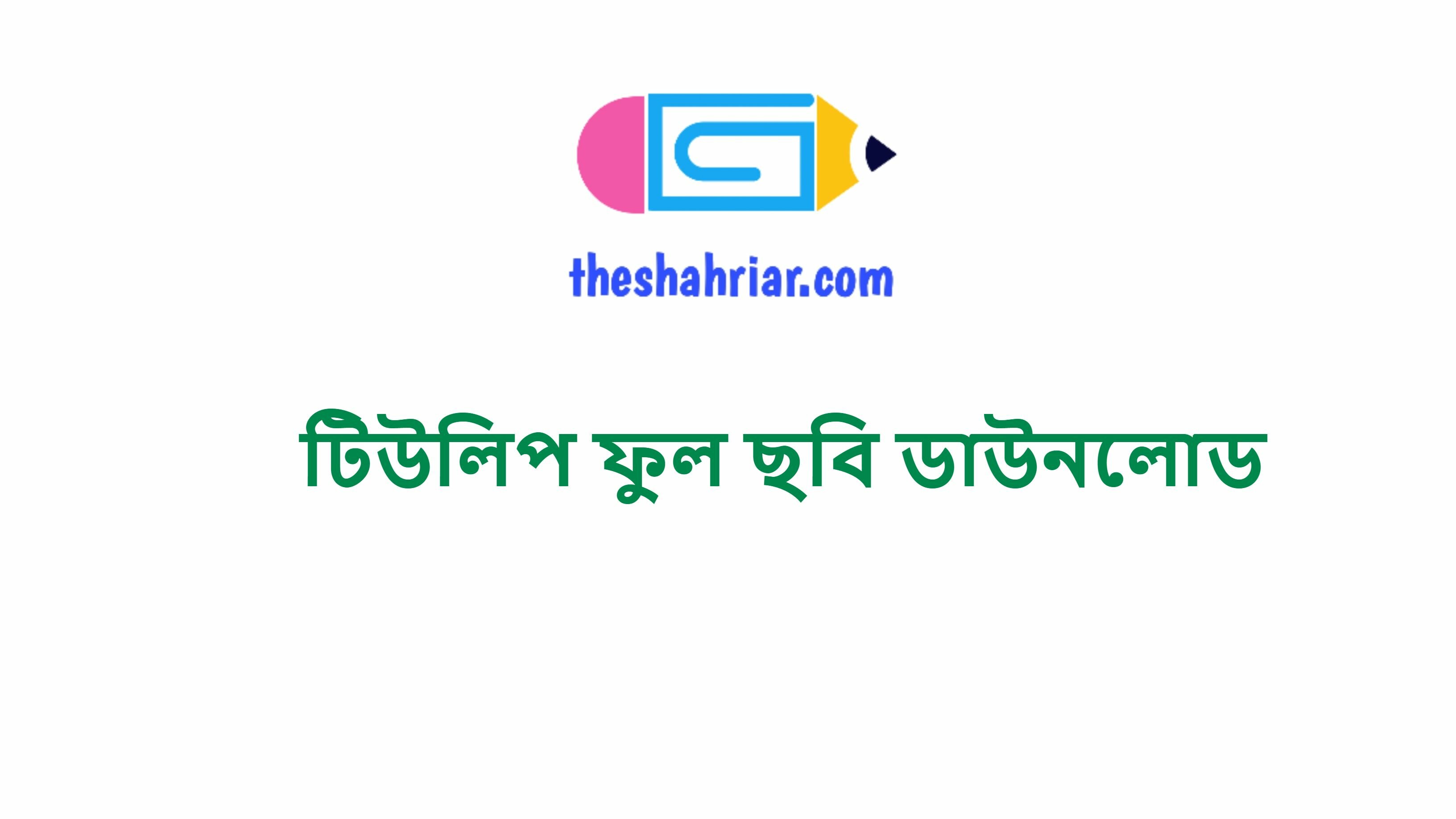 টিউলিপ ফুল ছবি ডাউনলোড