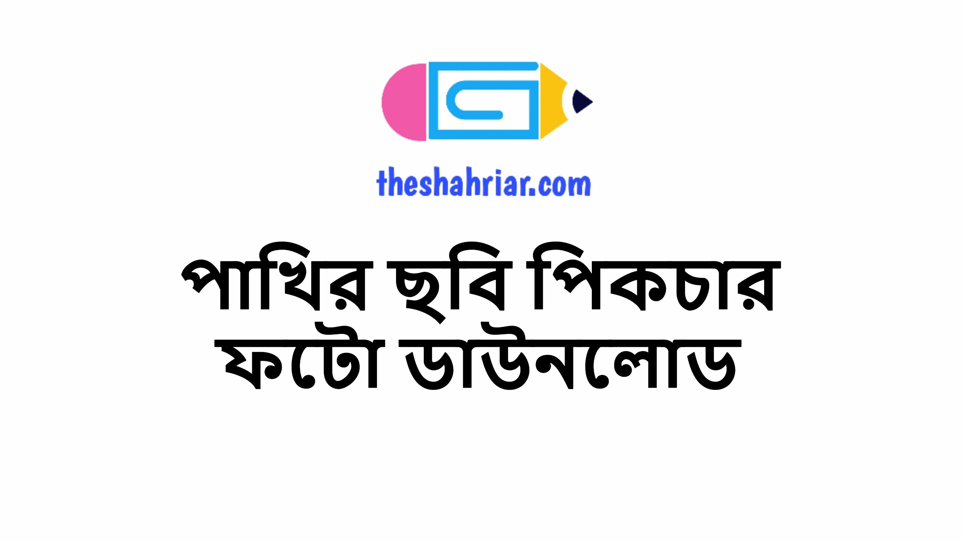 পাখির ছবি পিকচার ফটো ডাউনলোড